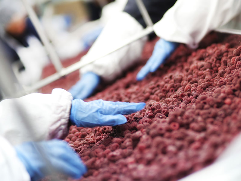 Food Processing